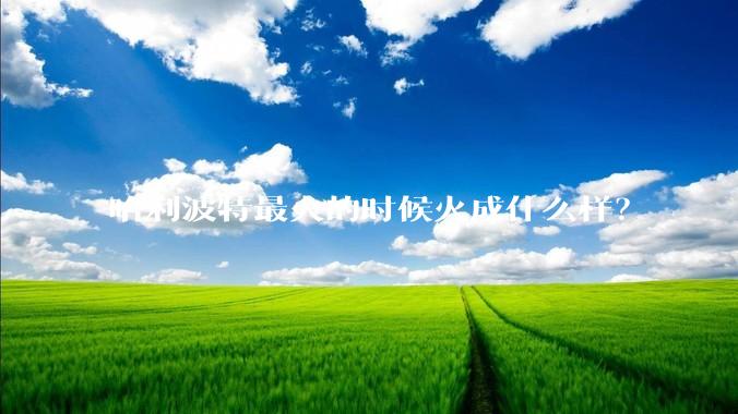 哈利波特最火的时候火成什么样？